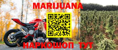 дживик Ставрополь