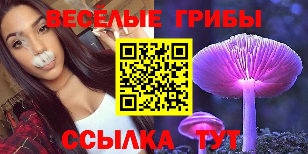 Россошь  Псилоцибиновые грибы Psilocybine cubensis  Галлюциногенные грибы Cubensis  Вход с VPN 
