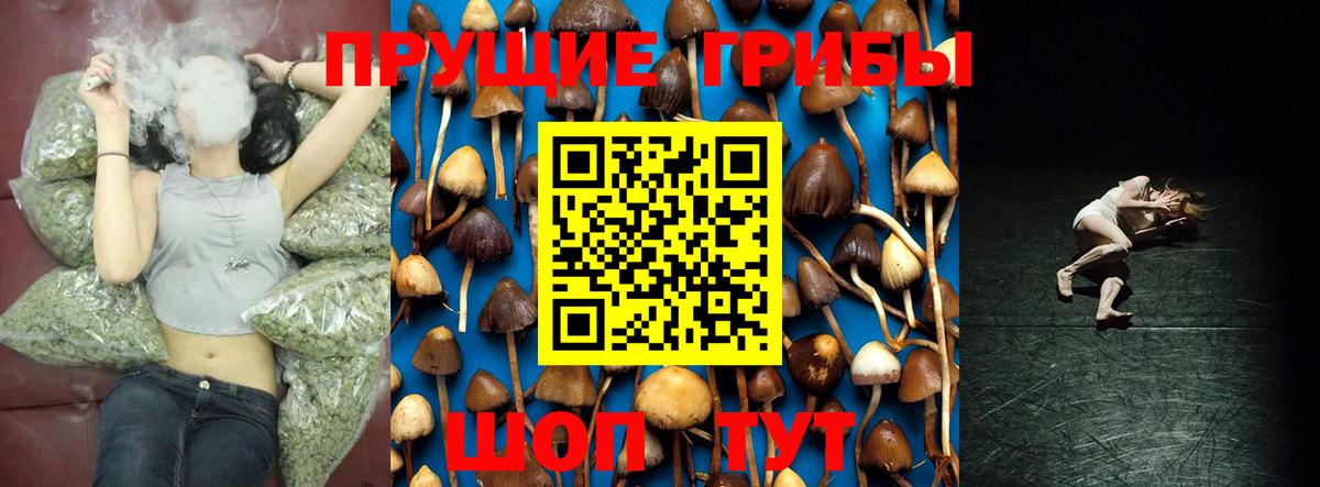 Псилоцибиновые грибы Cubensis Россошь